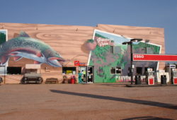 ガソリンスタンドのコンビニ店 大胆で美しいペイントです