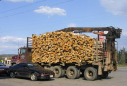 オンタリオ州の西部は林業が主要産業です 広大な森林から木材を切り出したこんなトラックを良く見かけます