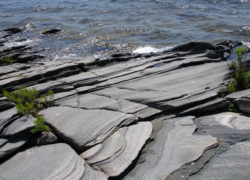 黒色片麻岩 黒い部分は黒雲母で侵食に弱いです