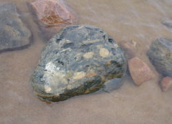 礫を含む変成岩