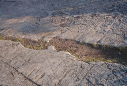 Thunder Bay Look Outの16億年前の赤く平らな泥岩 Sibrey Group 赤いアメシストの色はこの泥岩の色です