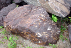 鉄鉱石　Wawaはグリーンストーンベルト帯の鉄鉱床でした